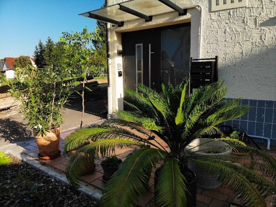 Gemuetliche 3 Zimmer Wohnung Mit Grosszuegiger Terrasse Im Gruenen Reutlingen Eksteriør billede